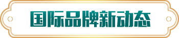 好色先生黄色网站下载新动态